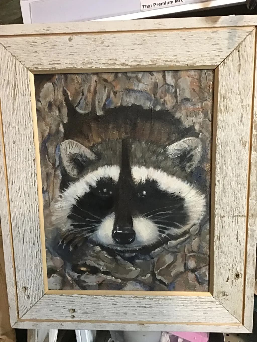 Raccoon in Bark