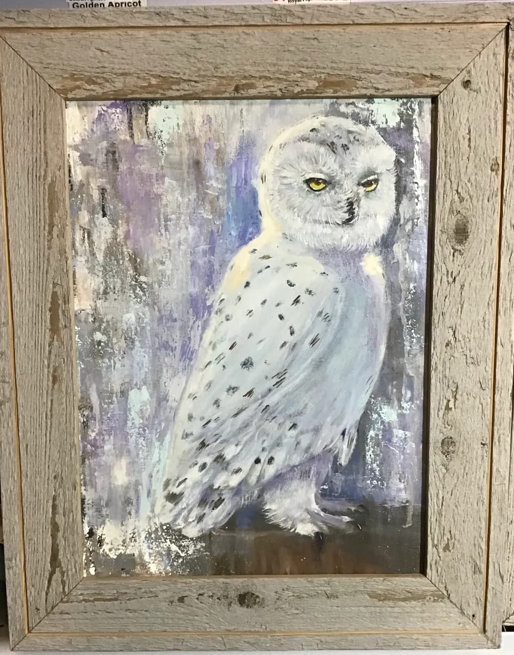 Snowy Owl Stance