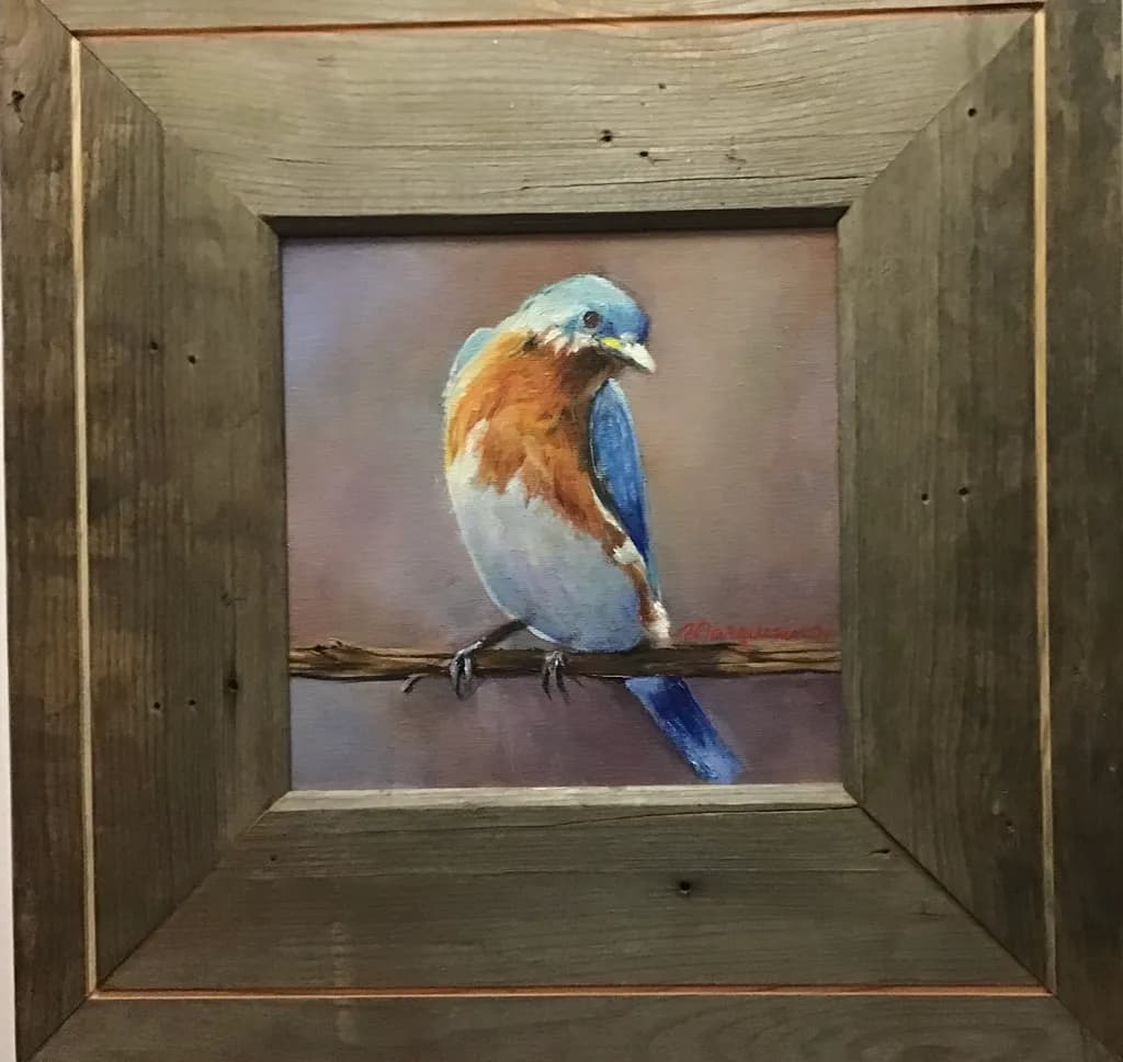 Bluebird on Branch