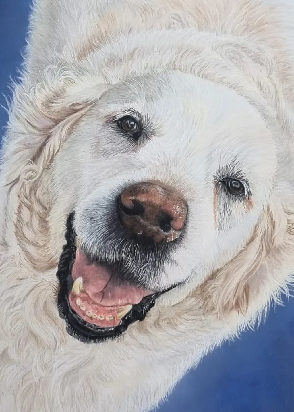 Joyful Whispers: A Portrait of a Smiling White Dog