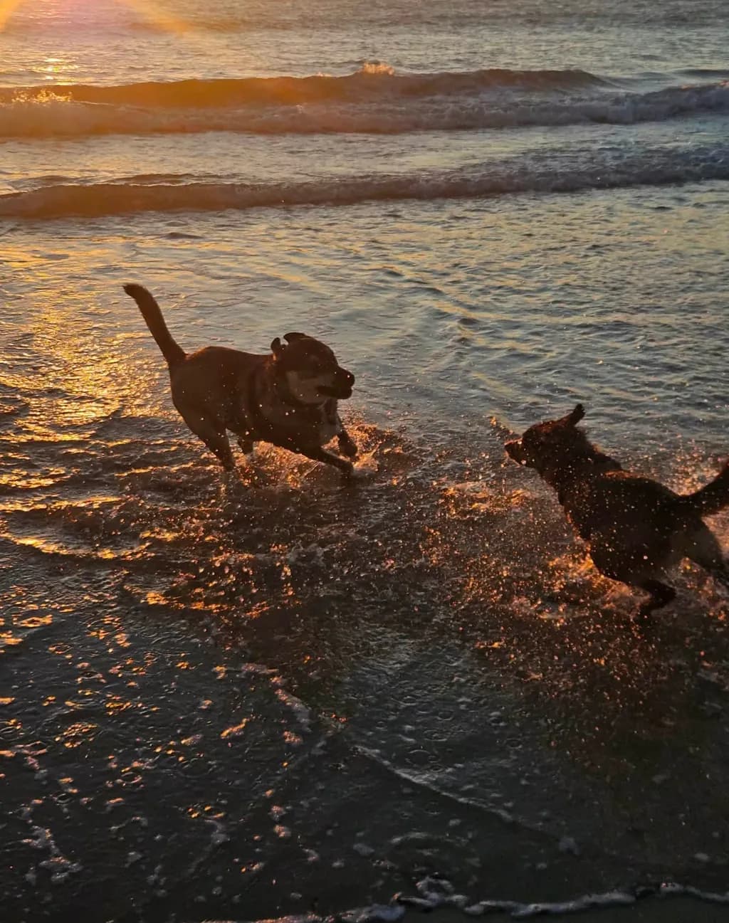 Sunset Splash