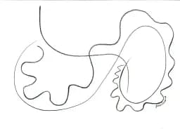 Curved Harmony