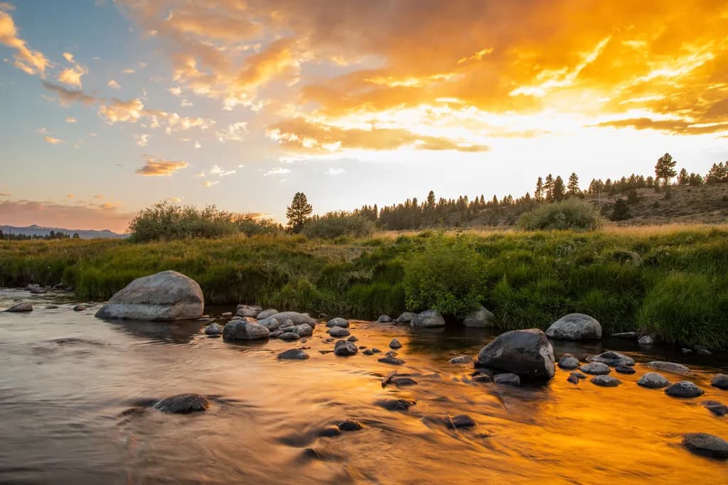 Golden Reflections: A Serene Sunset Over the Tranquil River Landscape