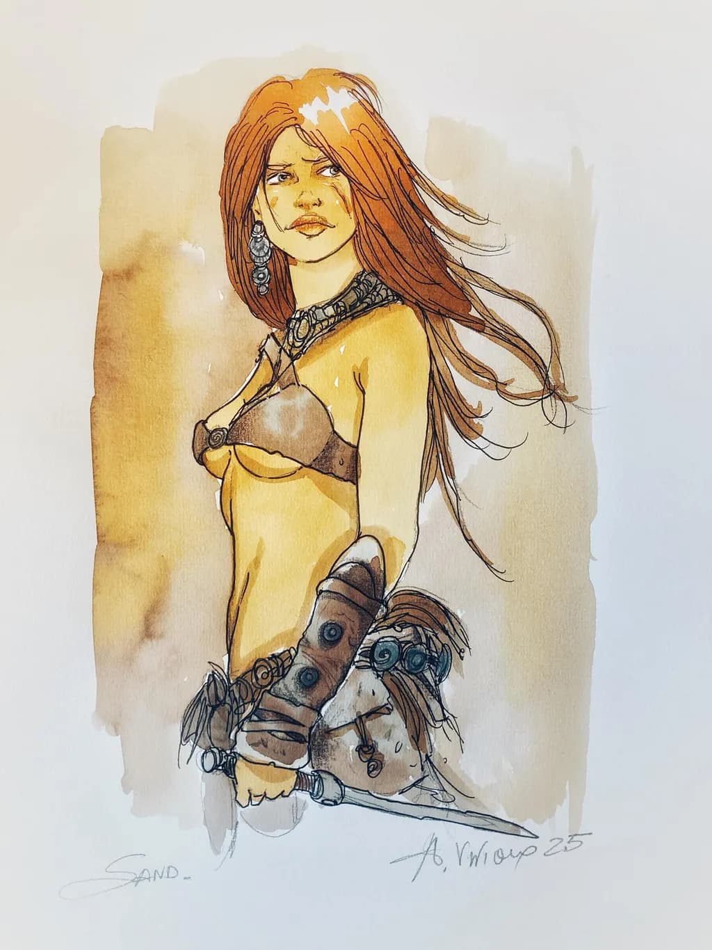 Desert Warrior