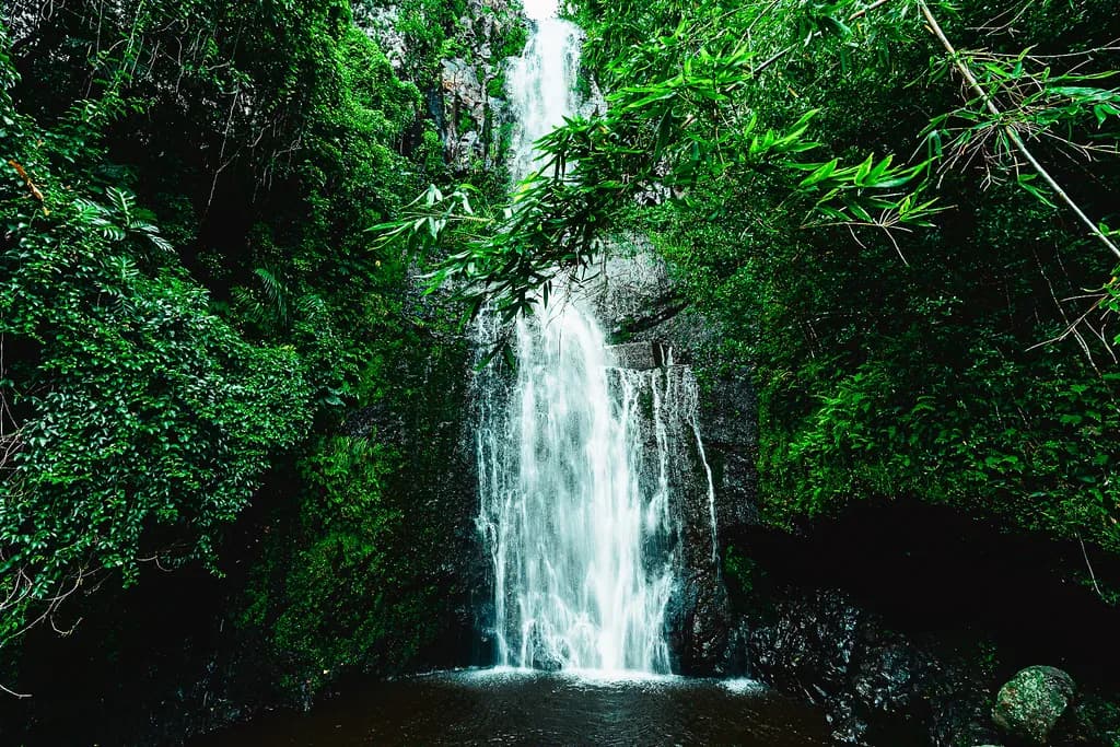 Mossfall