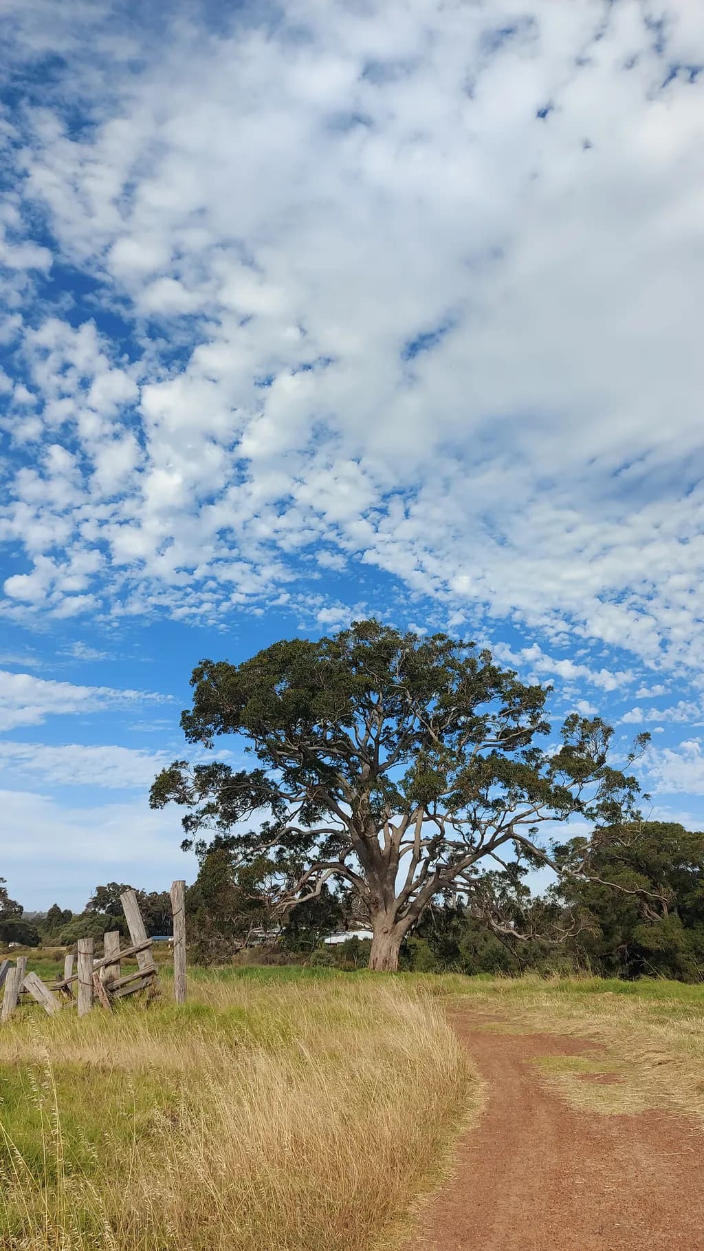 Open Skies