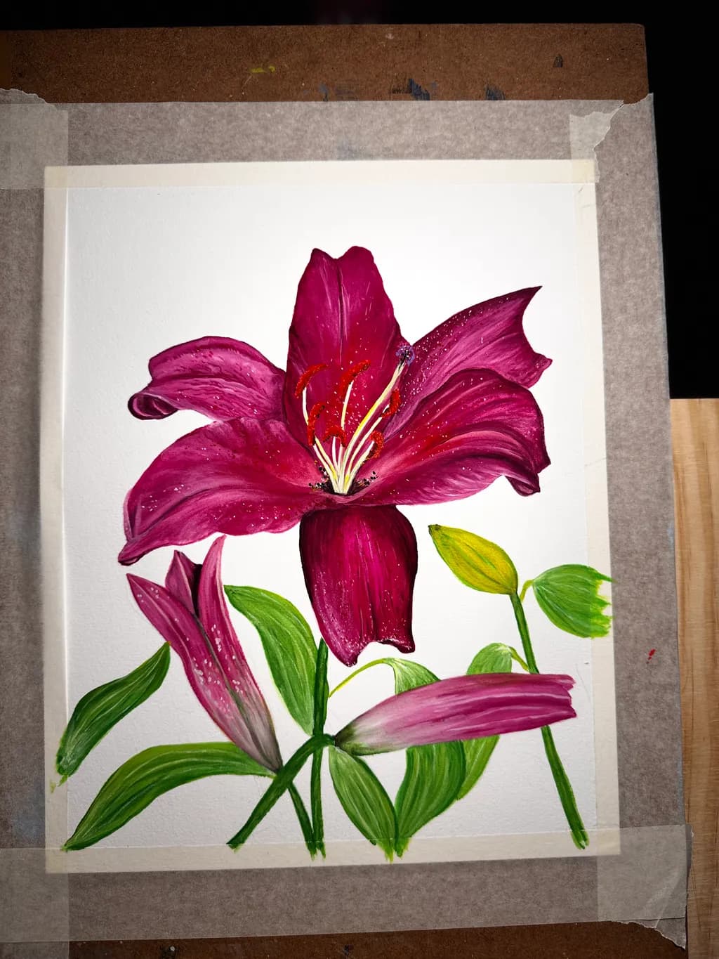 Magenta Lily Bloom