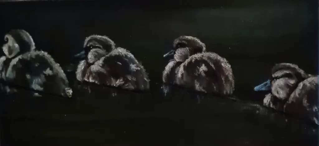 Duckling Serenity