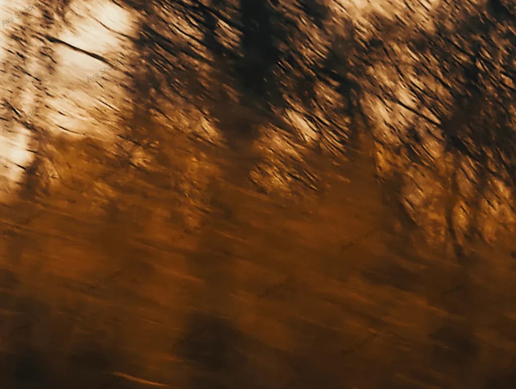 Autumn Forest Blur