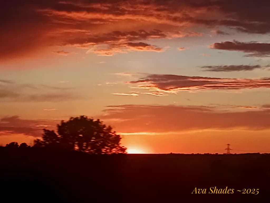 Sunset Silhouette Landscape