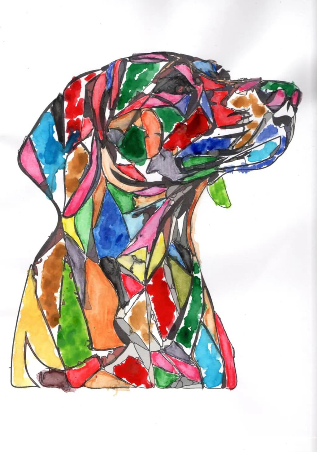 Colorful Canine Profile