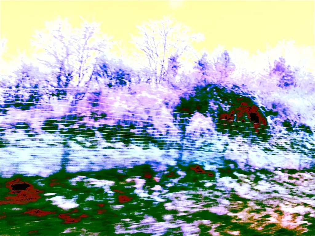 View of nature