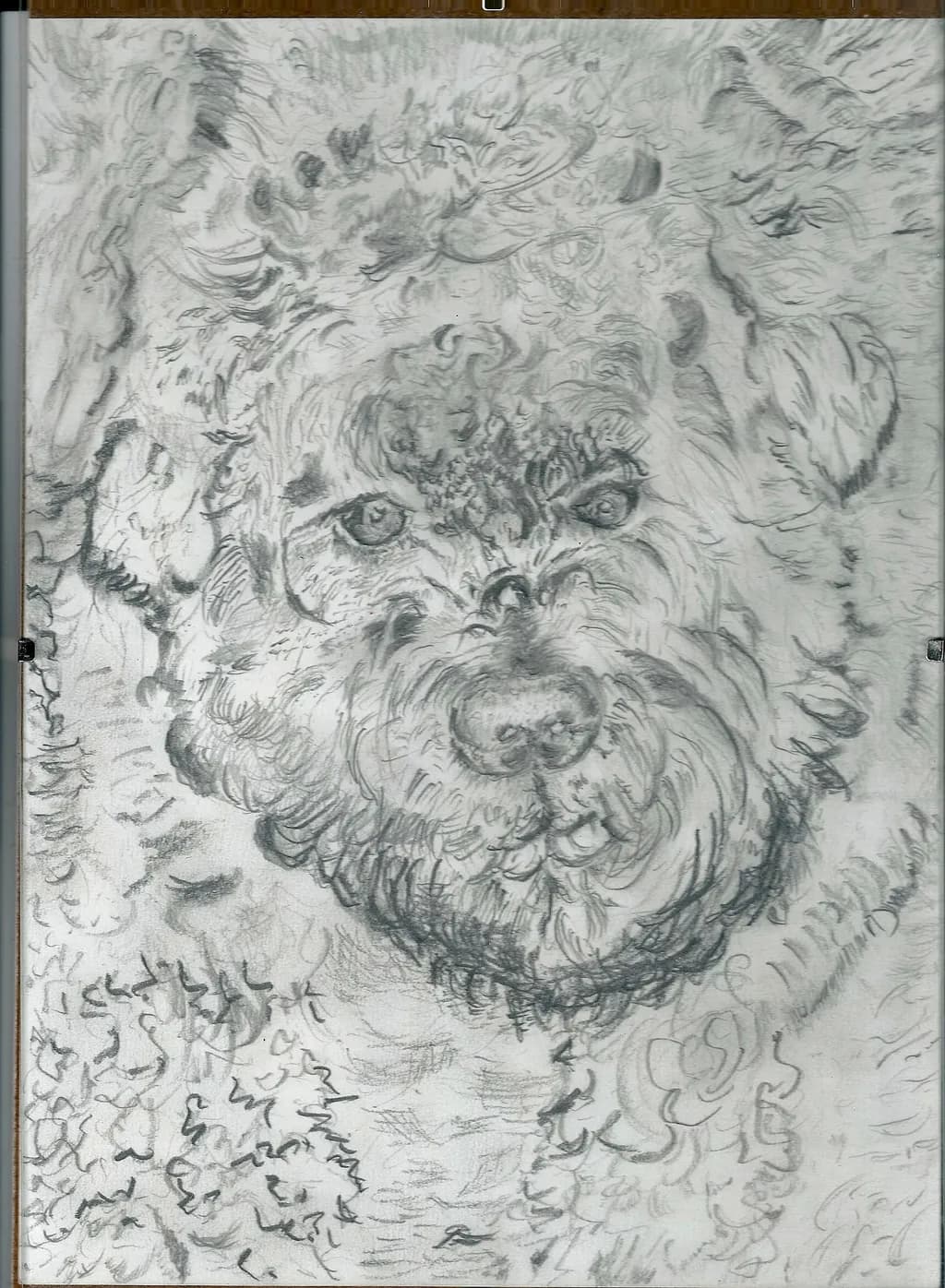 Whispers of Fur: A Charcoal Portrait of Canine Charm