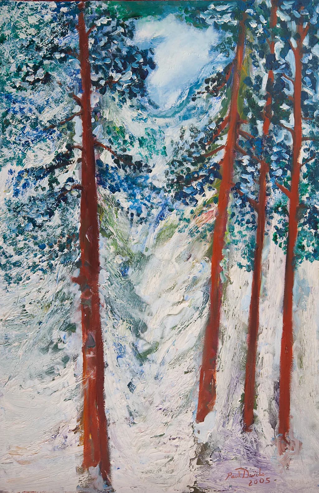 Whispers of Winter: A Serene Forest in Snowy Embrace