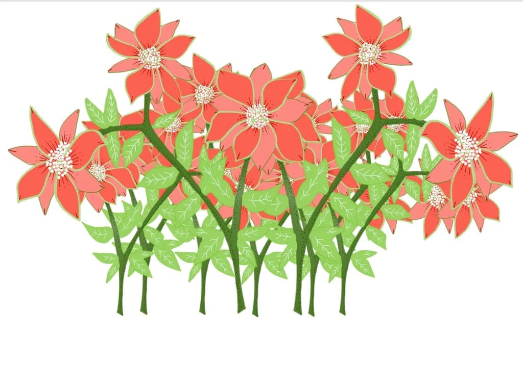 Coral Bloom Cluster