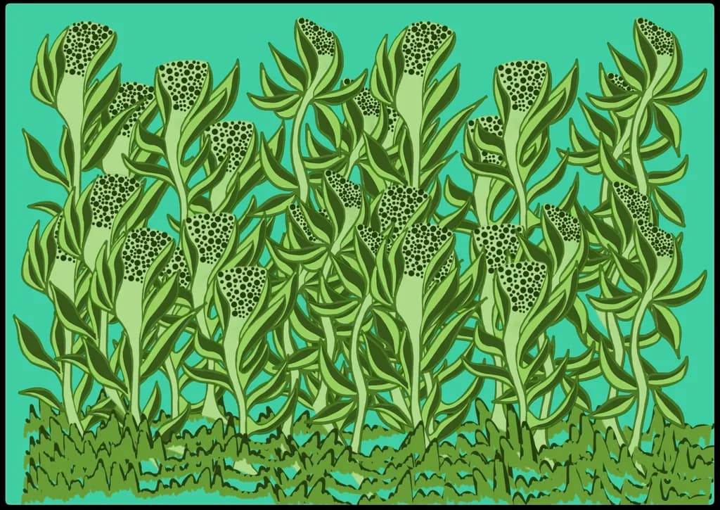 Spotted Flora
