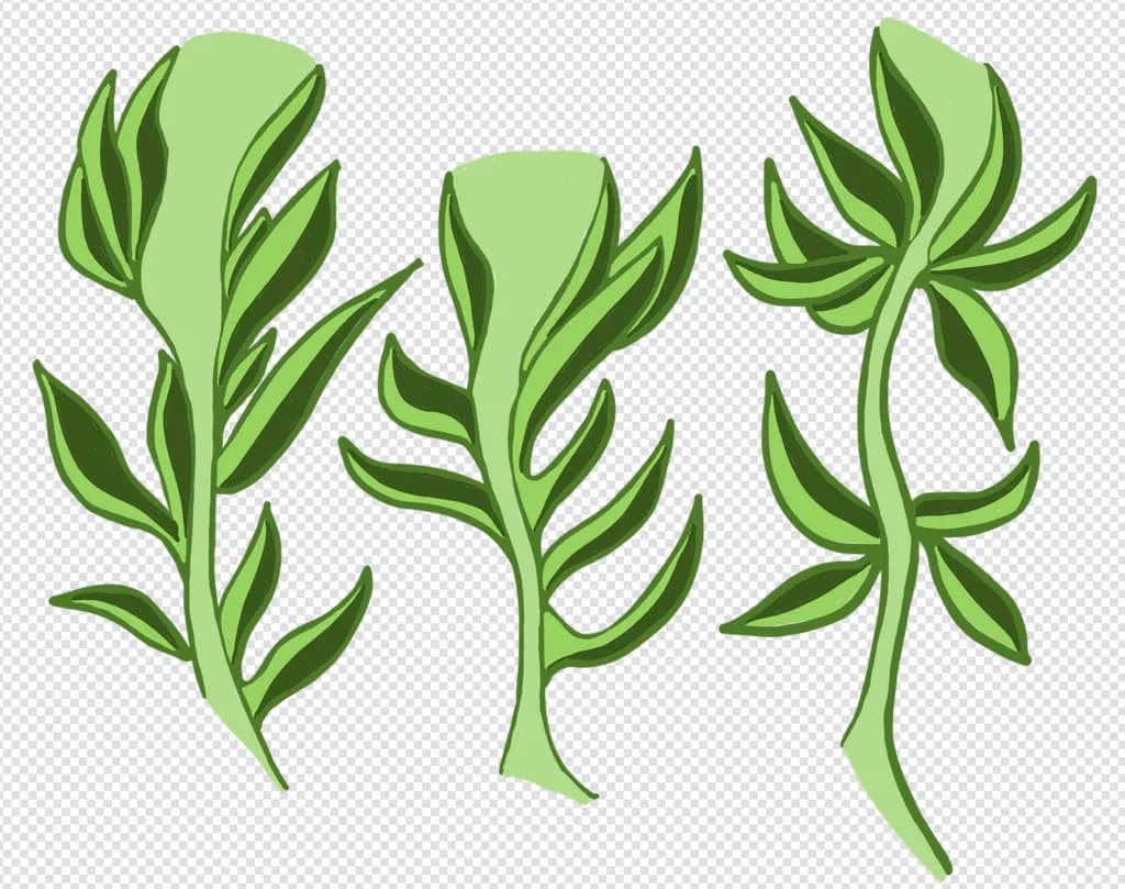 Leafy Sprouts