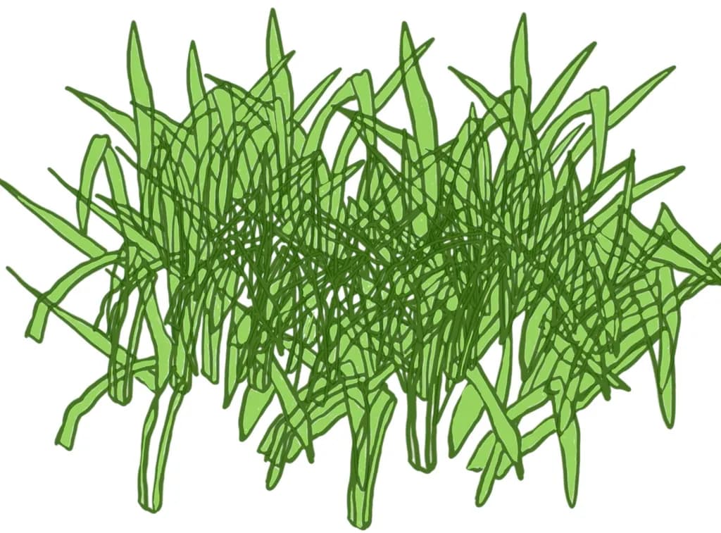 Tangled Grass