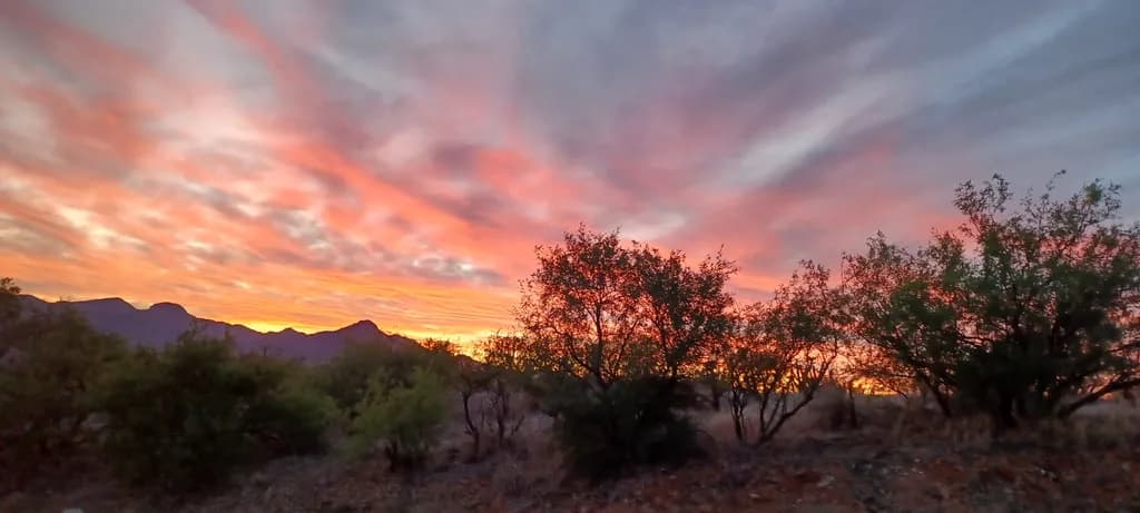 Desert Sunset