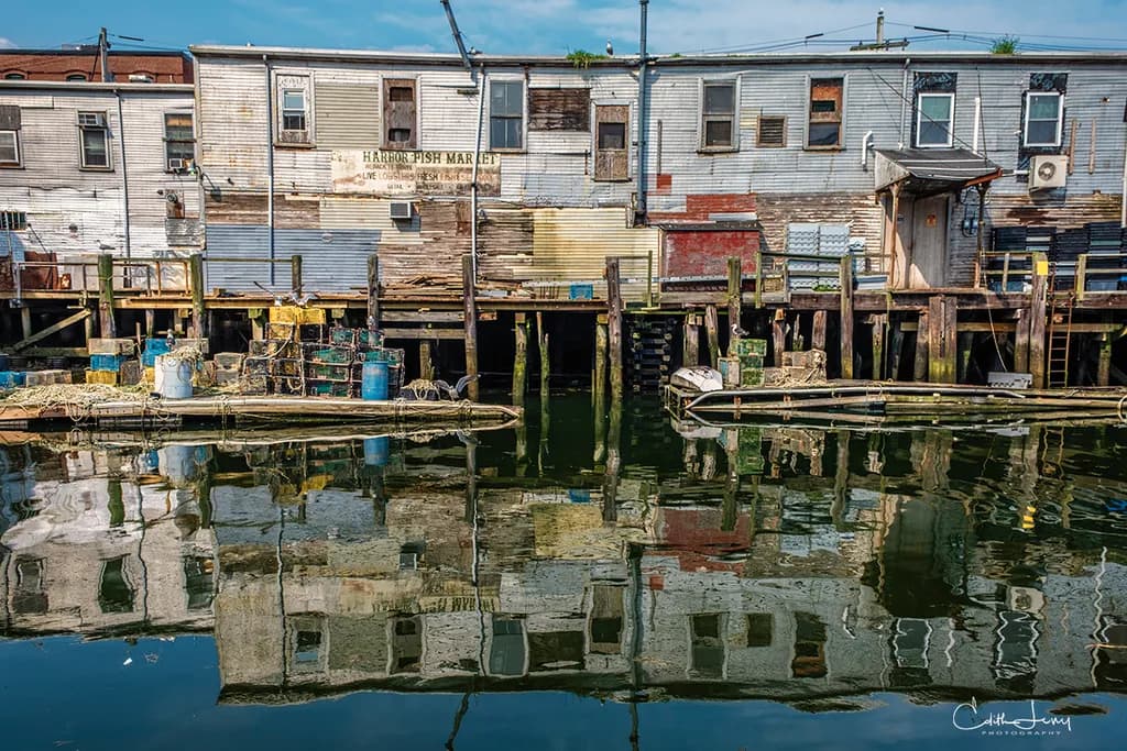Harbor Fish Market