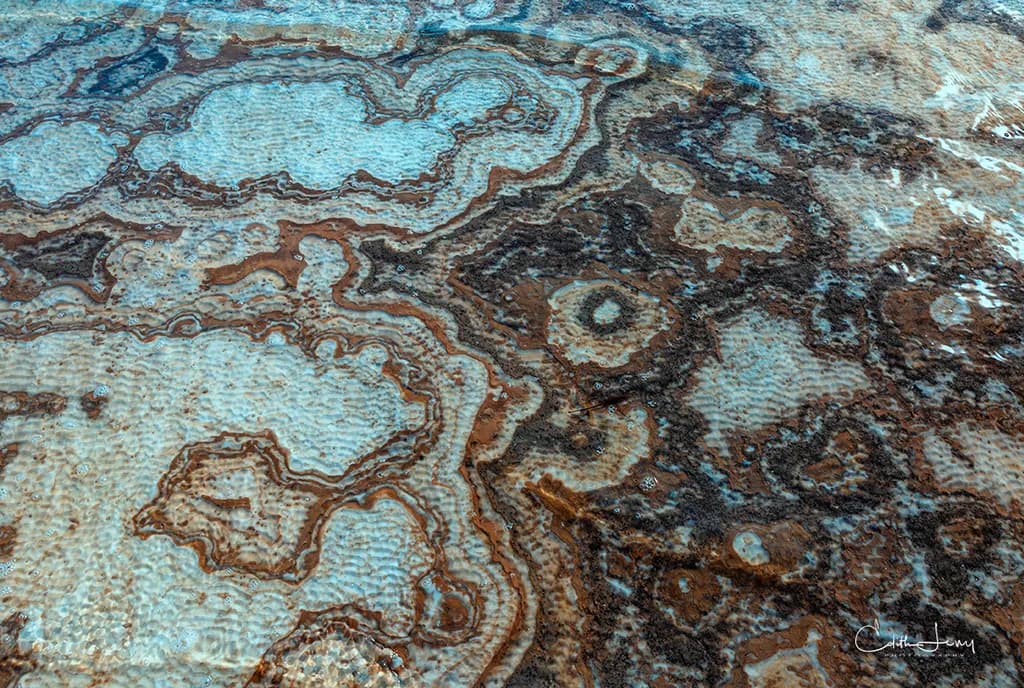 Underwater Mosaic