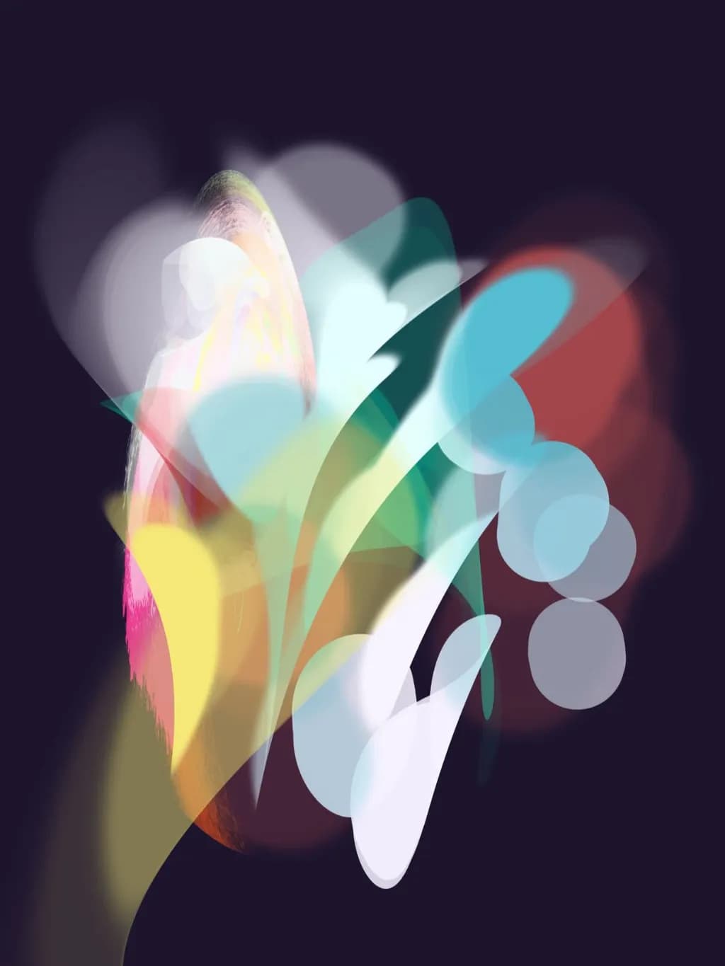 Night Blooms