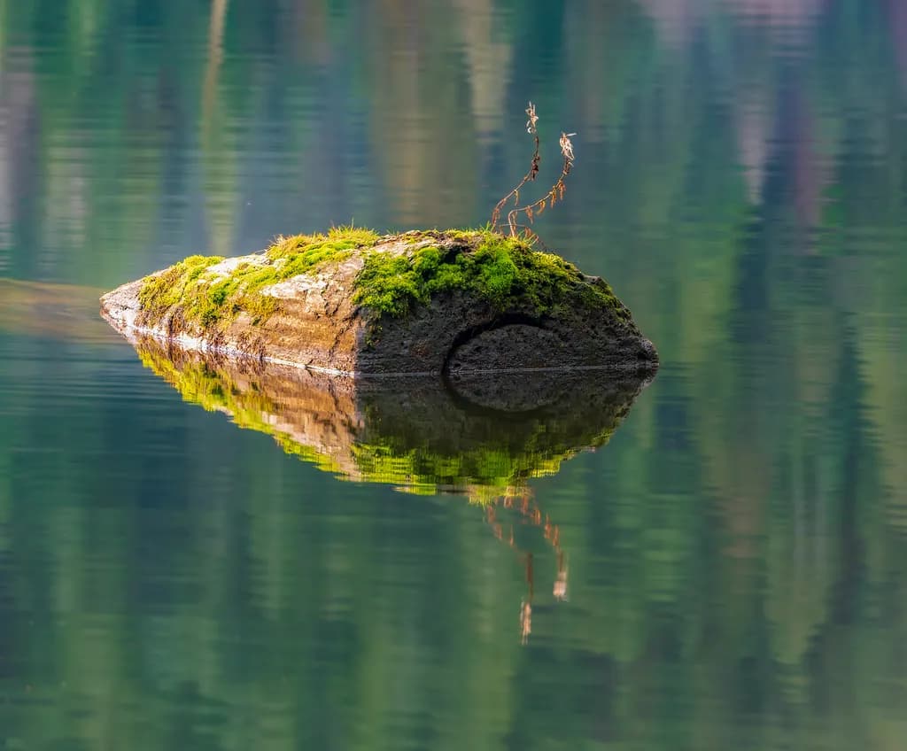 Mossy Rock Reflection