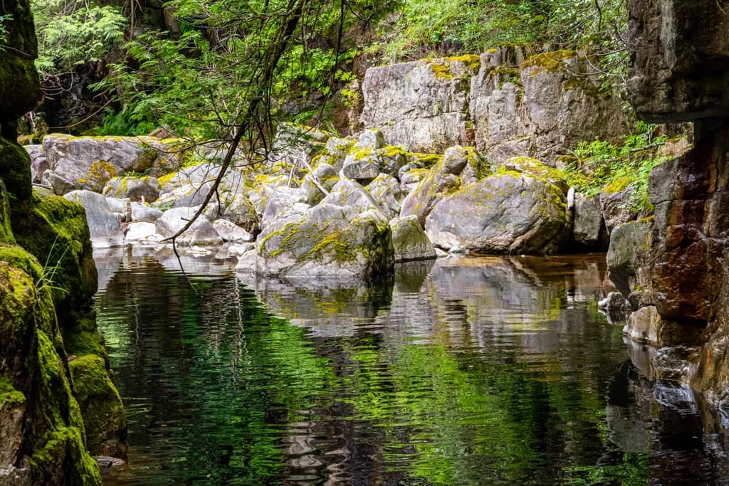 Water, Wood, and Stone Quietude