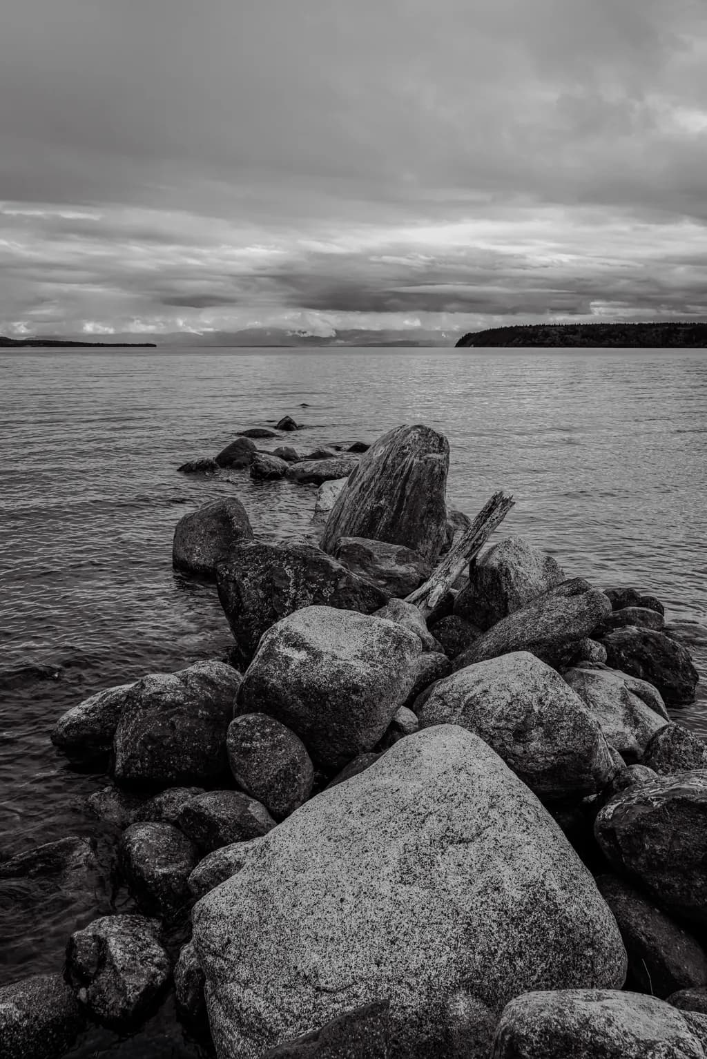 Stone, Wood, and Water