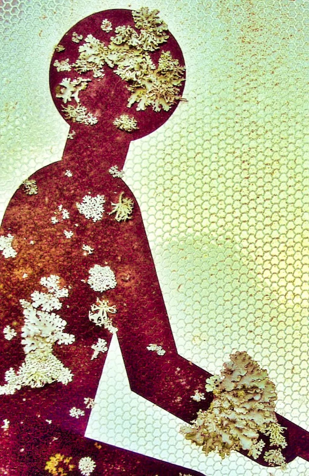 Whispers of Nature: A Silhouette Adorned with Coral Textures