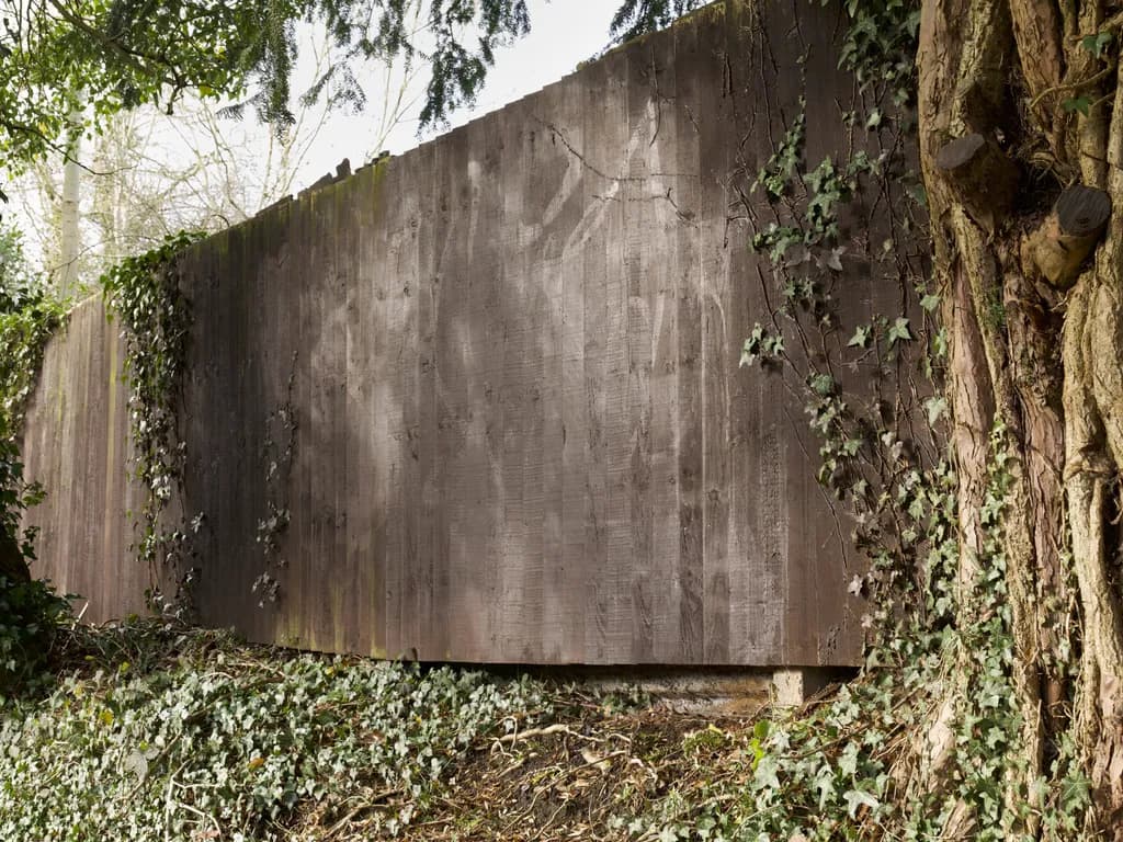 Whispers of Nature: The Enigmatic Embrace of Ivy and Wood