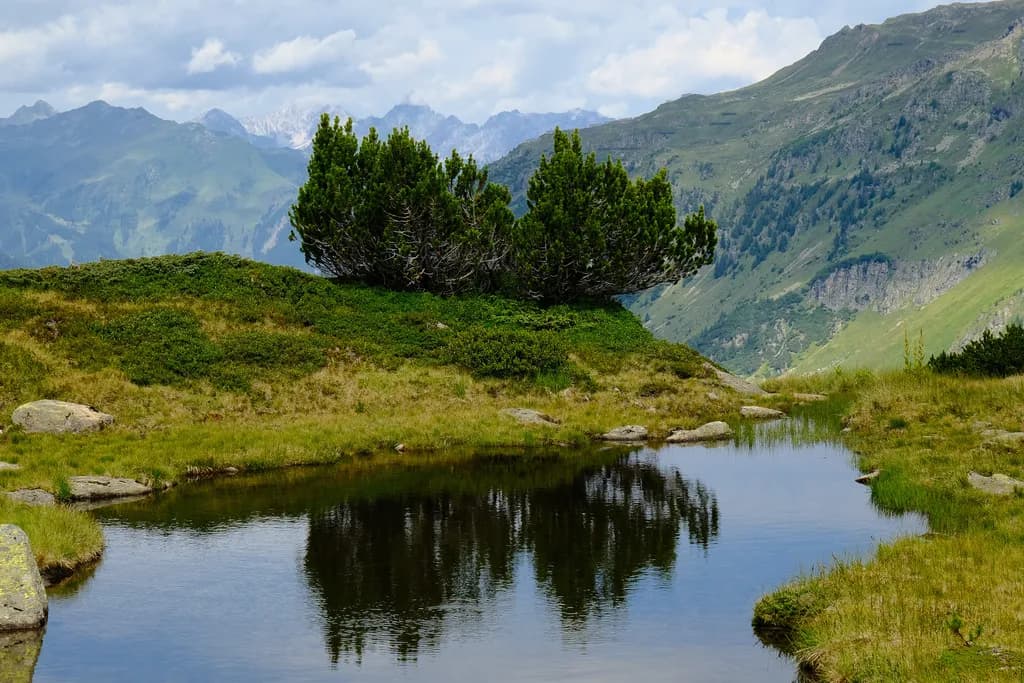 Serenity in the Mountains: A Tranquil Reflection of Nature's Beauty