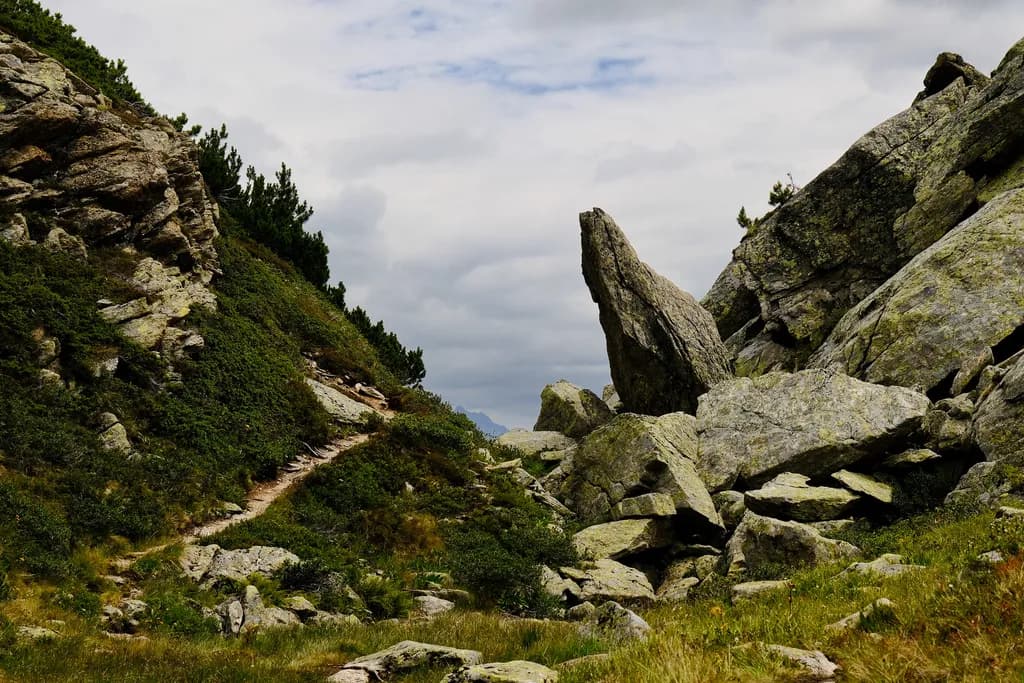 Whispers of the Rocky Trail: A Scenic Journey Through Nature's Embrace