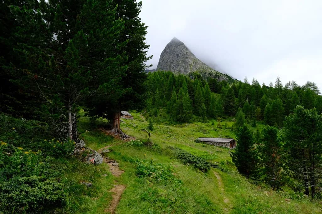 Whispers of the Mountain: A Serene Journey Through Lush Green Trails and Misty Peaks