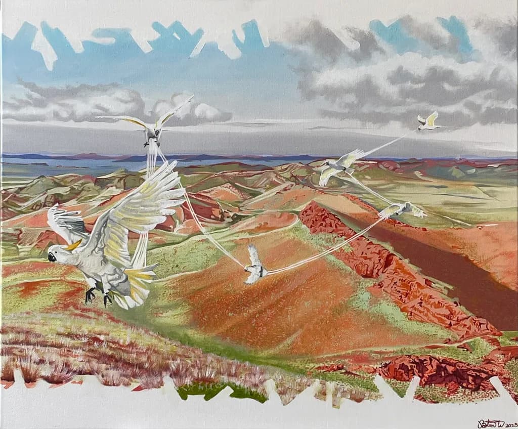 Wings of Freedom: A Colorful Journey Through the Australian Landscape