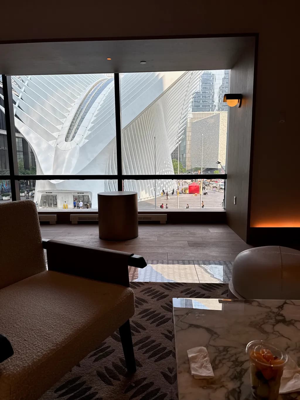 Oculus View