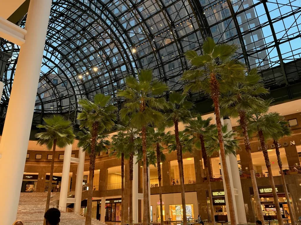 Palm Trees in the Atrium