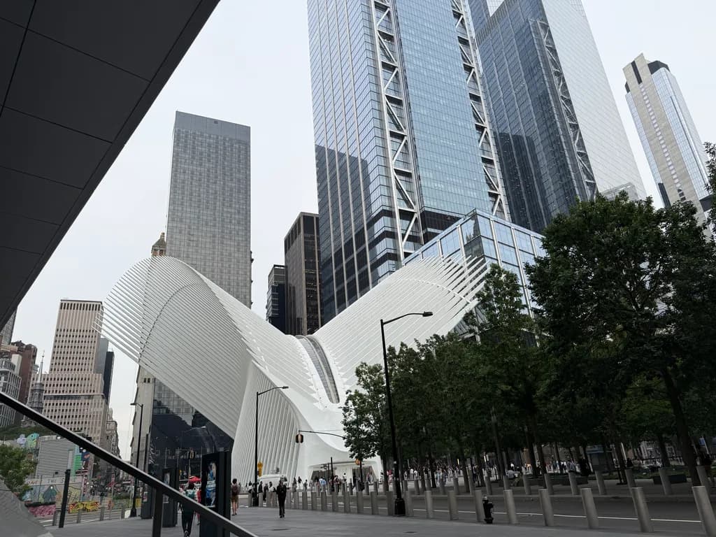 Oculus Perspective