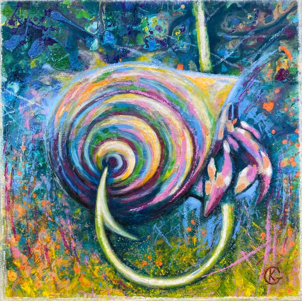 Whirlwind of Color: A Journey Through Spirals and Nature's Palette