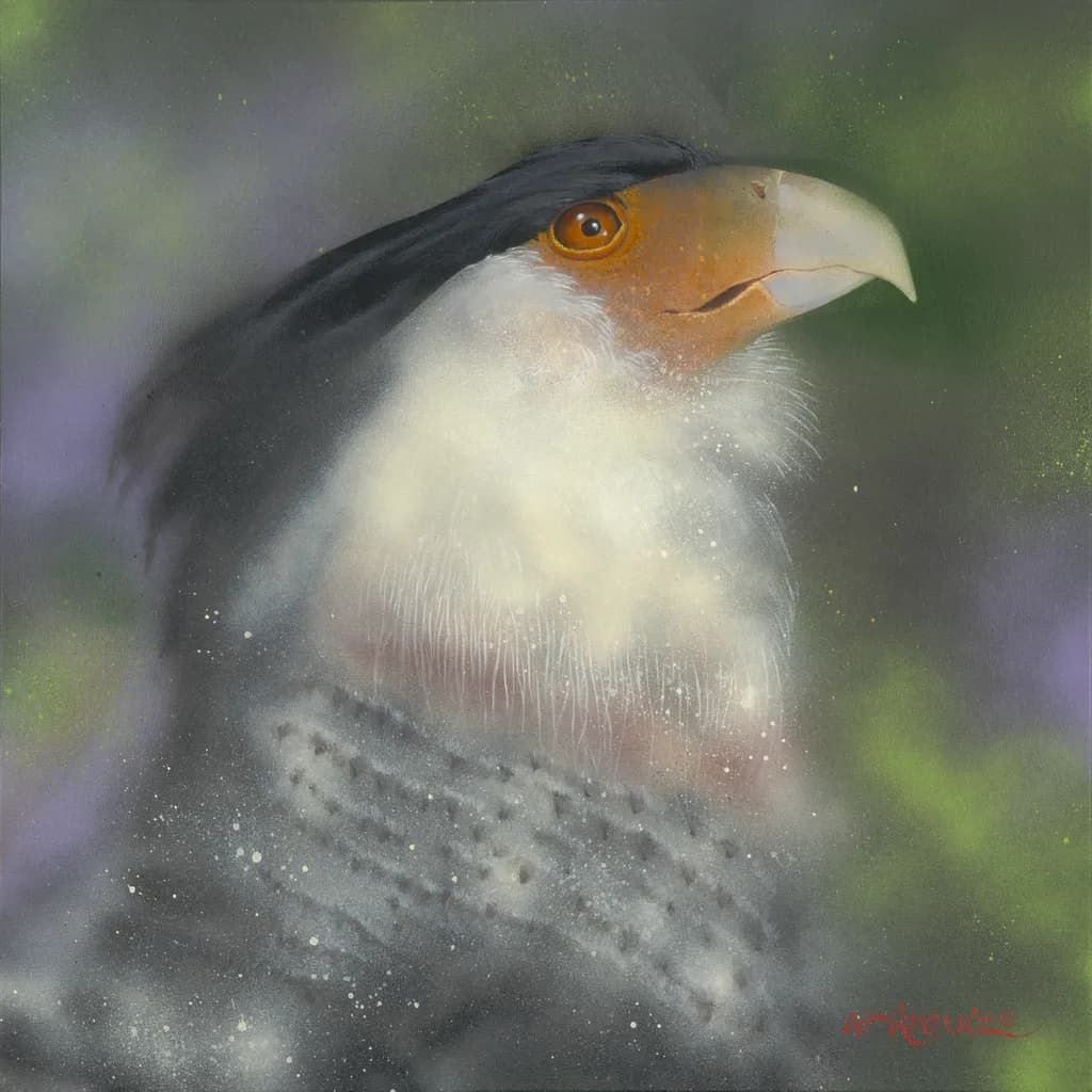 Mexican Eagle-Bold as Brass