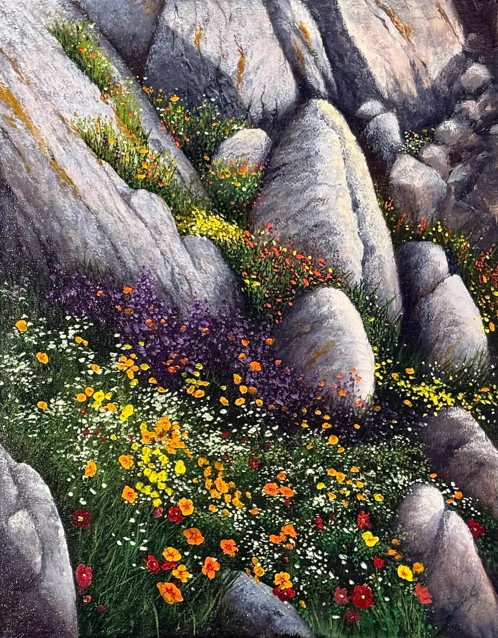 Blossoms And Boulders