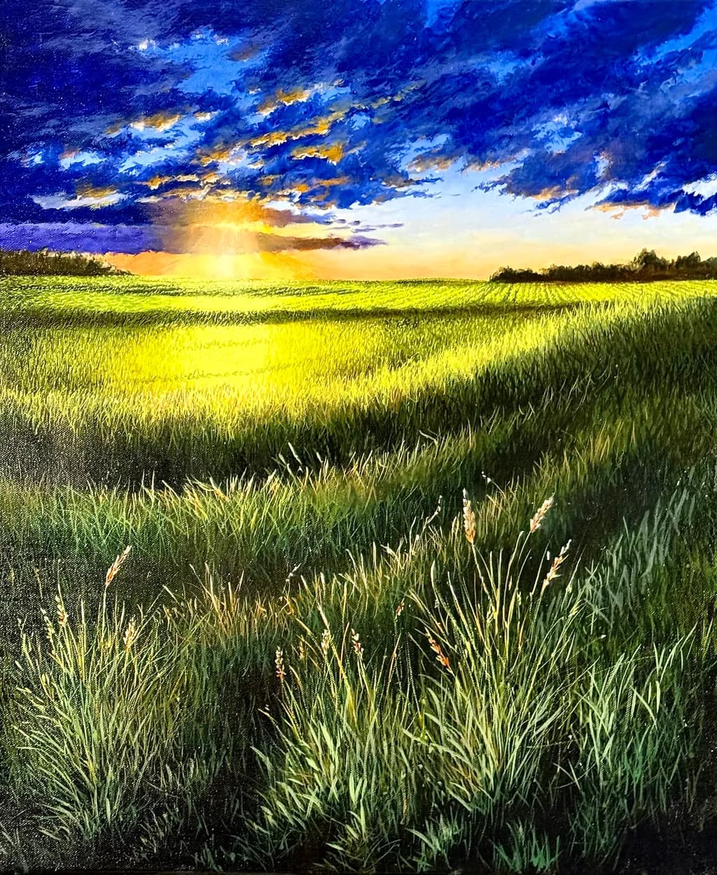 Golden Fields