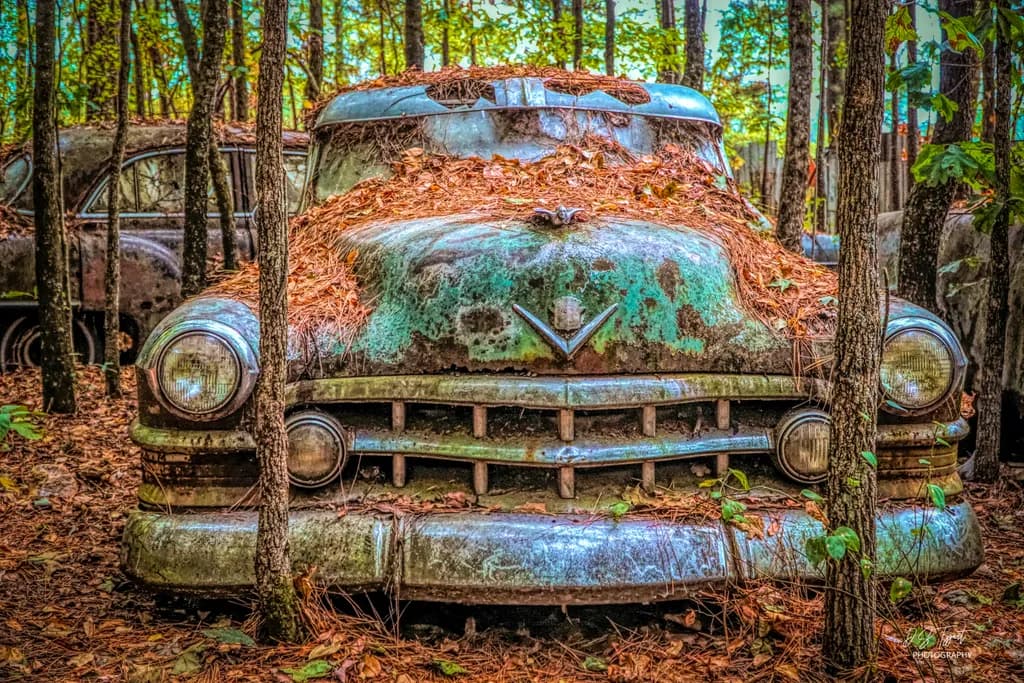 Forgotten Classics 1