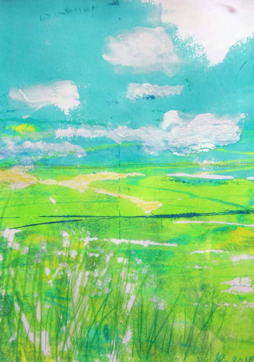 Field in Summer