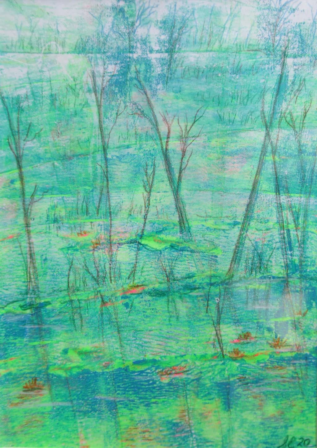 Waterlilies and Pond