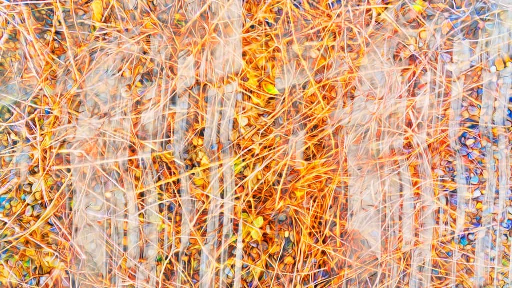 Southwest Whispers: An Abstract Exploration of Nature's Textures and Patterns in Composite Photography - ©️2024 RRP