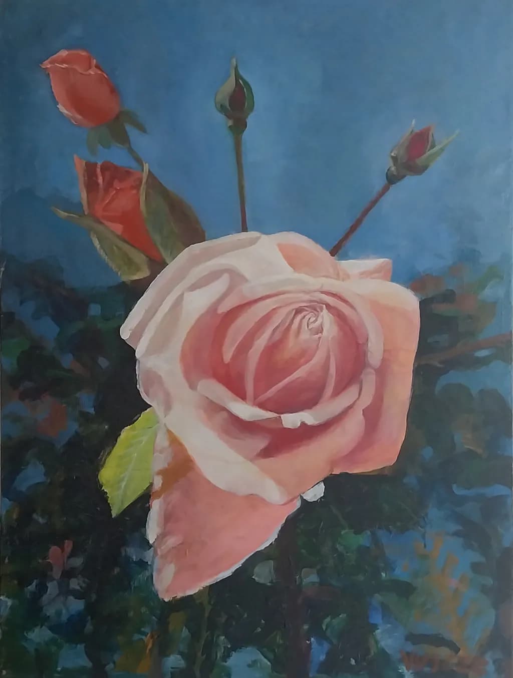 Rose Family