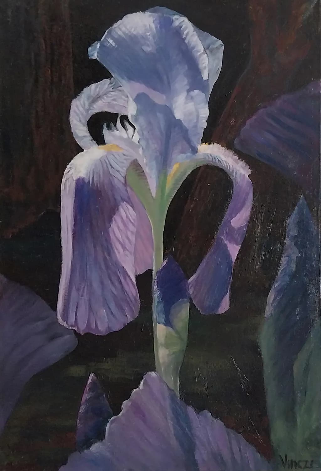 Iris Unfolding