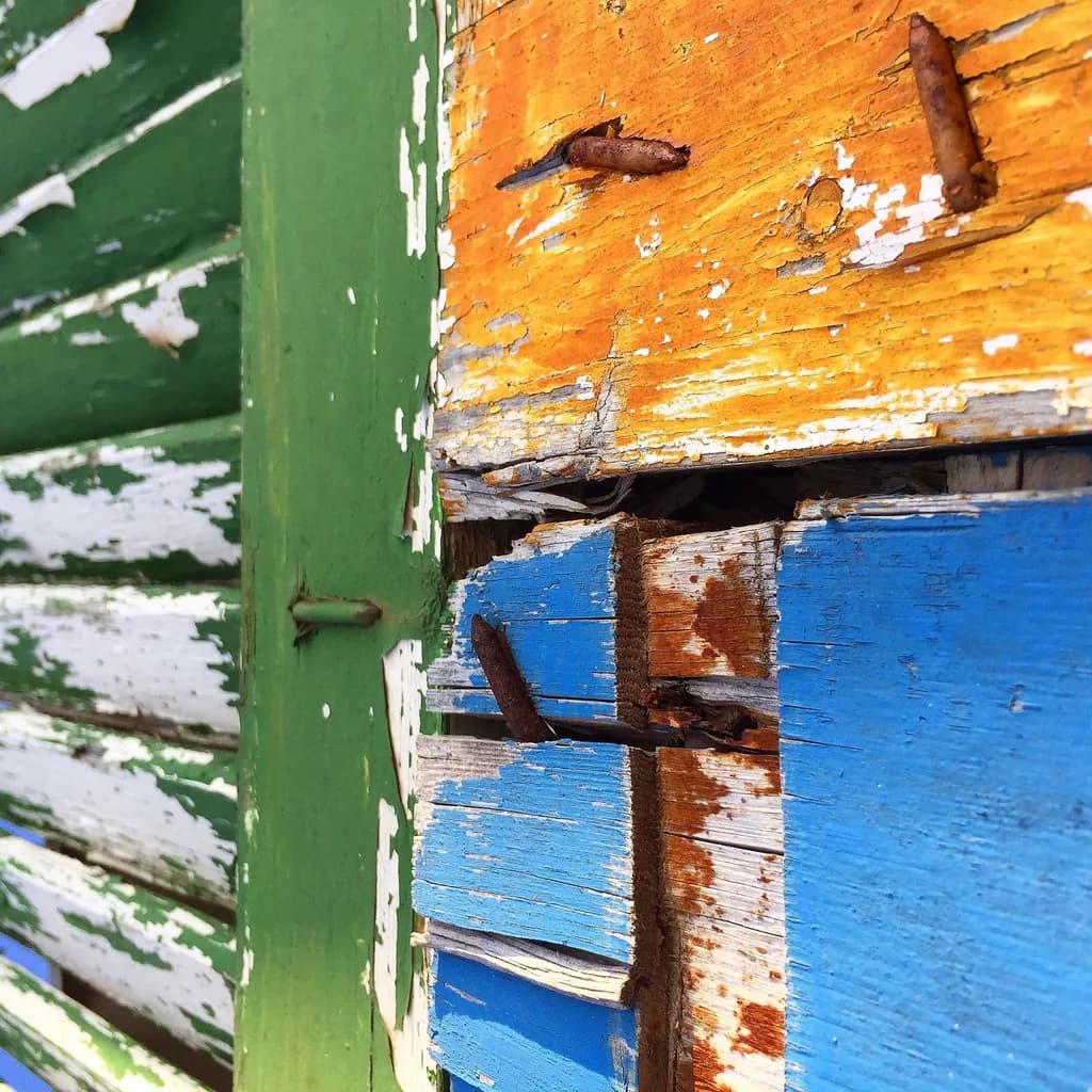 Vibrant Decay: A Rustic Symphony of Color and Texture in Weathered Wood