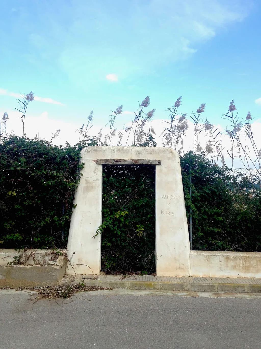 Whispers of Nature: The Abandoned Doorway to Overgrown Dreams